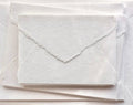 Seasonal Deckled Edges Letter (Annual Plan—4 seasons)