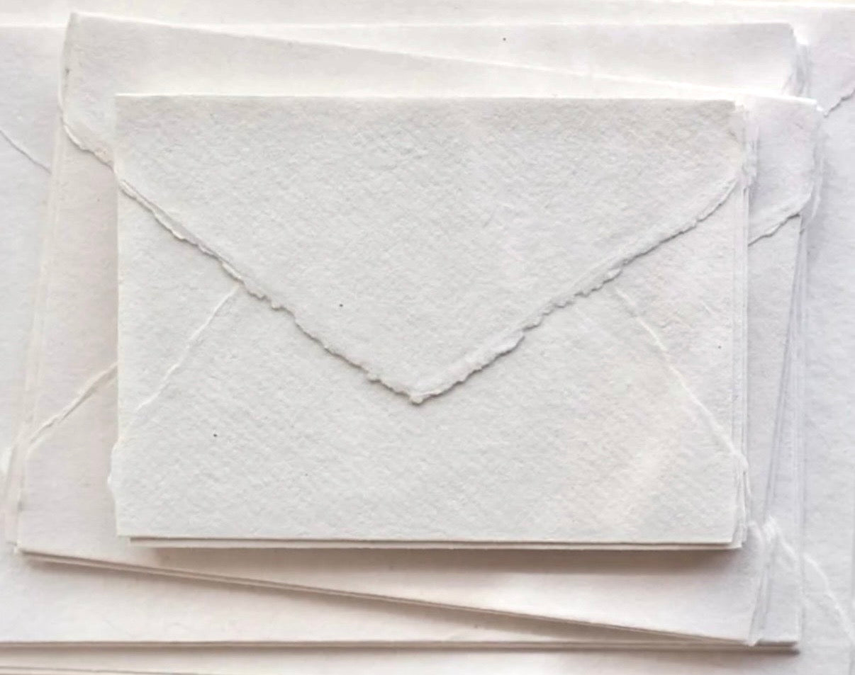 Seasonal Deckled Edges Letter (Annual Plan—4 seasons)