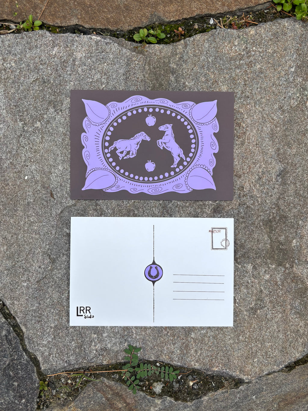 5 Pack Year of the Horse Postcards