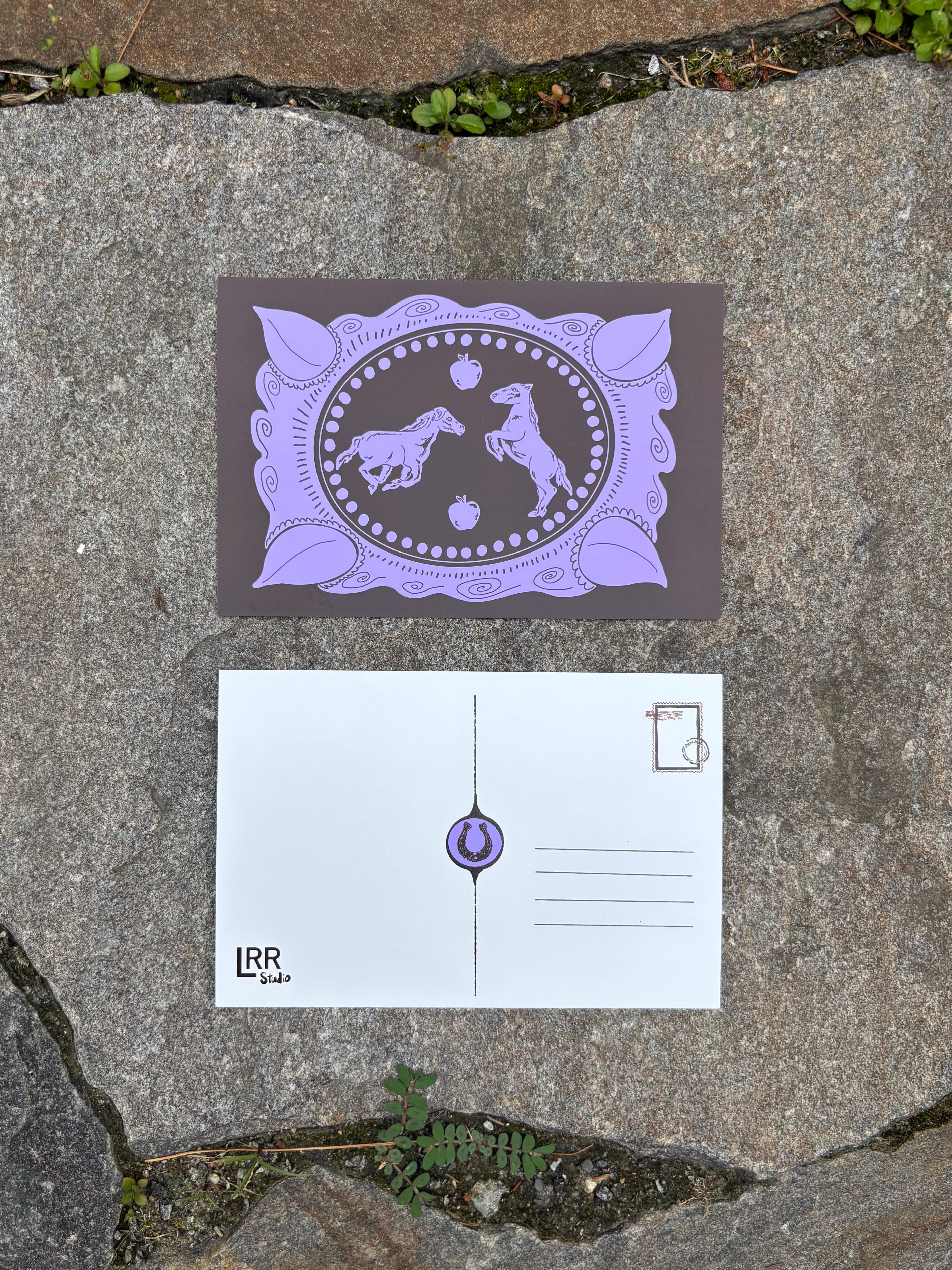5 Pack Year of the Horse Postcards